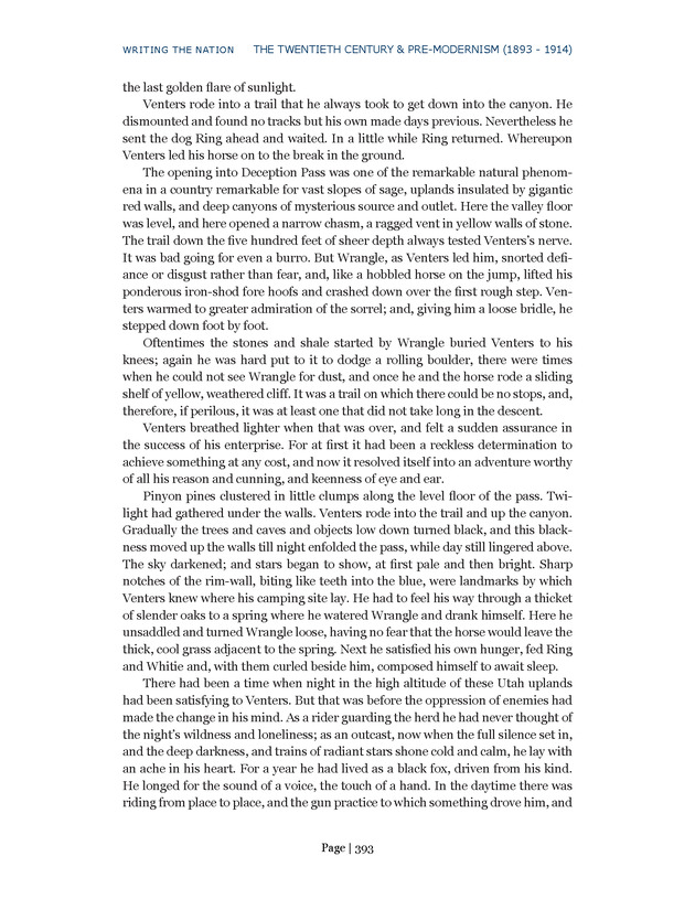 Writing the Nation - Page 393